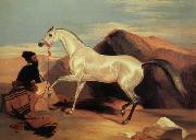 Sir Edwin Landseer Arab stable ion Germany oil painting artist
